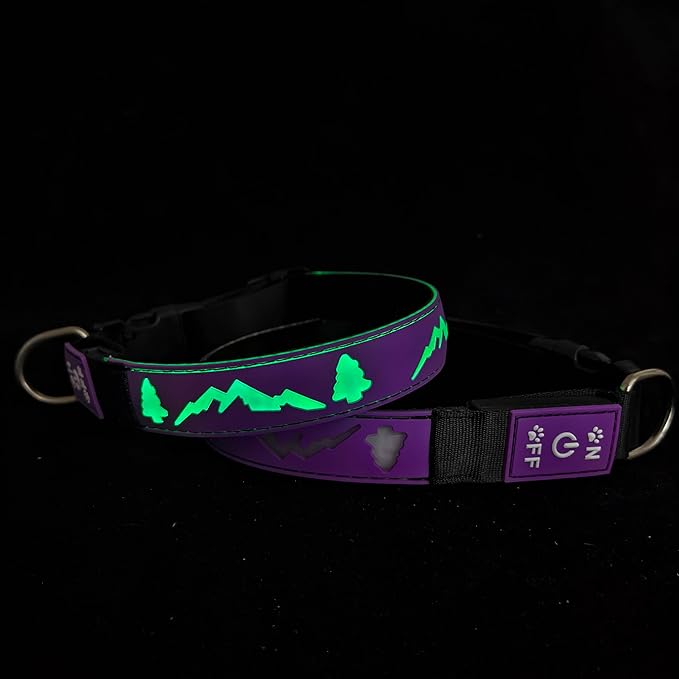 LED Dog Collar, 15 Light Modes, USB-C Rechargeable, Silicone Material, Adjustable Size, (Purple, M(11.8-15.7"))