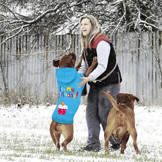 GreenJoy Dog Sweater Dog Hoodie Cold Weather Coat Hooded Sweatshirt for Puppies,Cats, Small Medium Large Dogs (Blue(It's My Birthday), Medium)