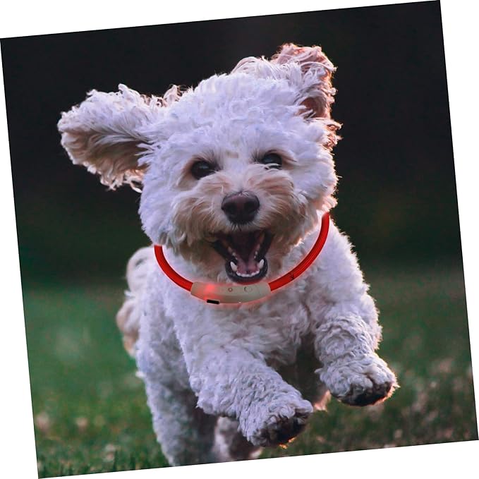 Housoutil 2pcs Dog Collar Pet Glow Collar Led Lights Night Safety Rechargeable for Puppies