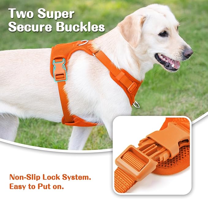 No Pull Dog Harness for Small Medium Large Dogs - Adjustable 2 Layer Mesh Dog Vest with Dual Clip, Escape Proof, Quick Release, Lightweight Breathable Mesh for Walking Hiking (Orange,XS)