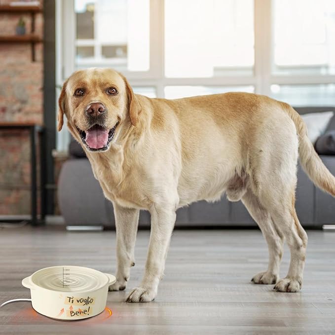 Heated Water Bowl Dog - Ceramic Pet Heating Dish, Constant Temperature Automatic Waterer, Winter Drinking Solution | Dogs Cats Rabbits Birds for Dogs Cats Rabbits Birds