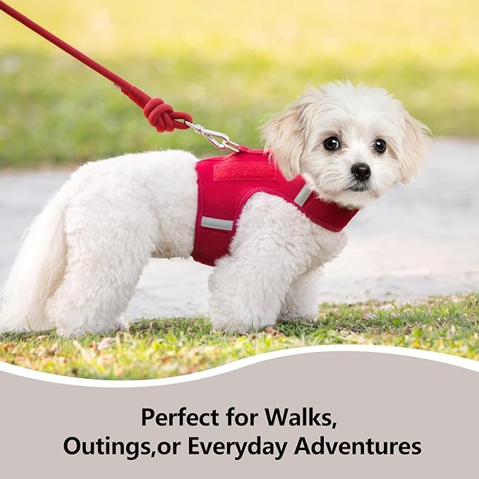 Dog Harness for Puppy – Adjustable Reflective Easy Put On Soft Mesh Vest for Small Dogs with 2 Patches (Burgundy Red,XXS)