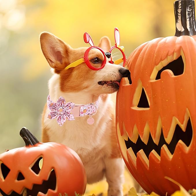 Halloween Dog Collar with Pink Flower, Adjustable Size, Premium Cotton, Sturdy Metal Buckle, Fits Small, Medium, Large Dogs & Cats