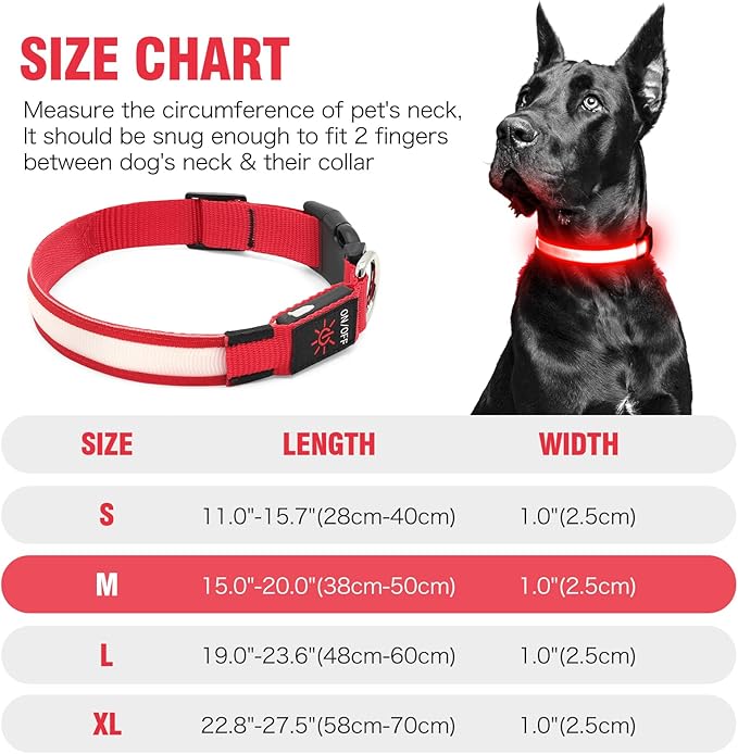 Illumifun LED Dog Collar, USB Rechargeable Light Up Dog Collars, Flashing Safety Dog Collar Glow in The Dark (Red, Medium)