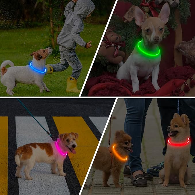 LED Dog Collar, Light Up Dog Collars USB Rechargeable for Night Walking-Fashion TPU Glowing Safety Pet Collar Lights for Small Dogs Cat (Red)