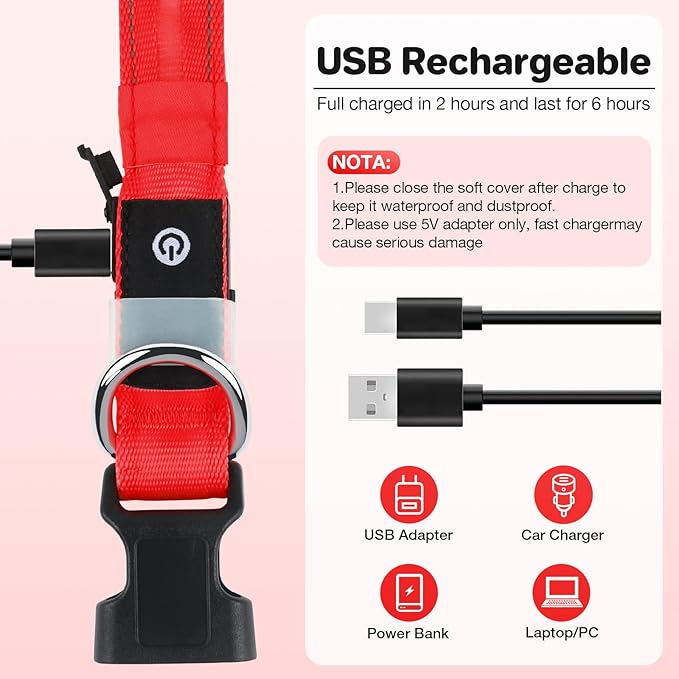 Light Up Dog Collar, USB Rechargeable 6 Modes, Waterproof Charging Port, Long Lasting LED Collar - Adjustable Nylon Reflective for Dogs, Sizes S/M/L (7/9/11 Lights) - 5 Colors (Red, M)