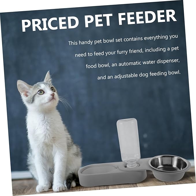 Stainless Steel Cat Bowl Elevated Cat Feeder Tilted Pet Bowl and Automatic Water Container