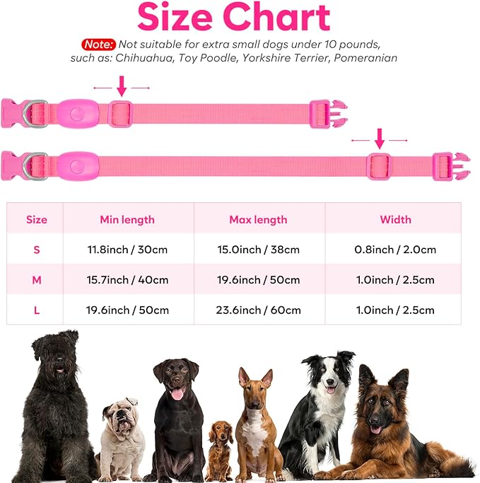 Light Up Dog Collars Rechargeable, Reflective LED Glow Dark Dog Collar for Small Medium Large Dogs, Adjustable Pet Dog Lights for Safe Night Walk-Pink, Small