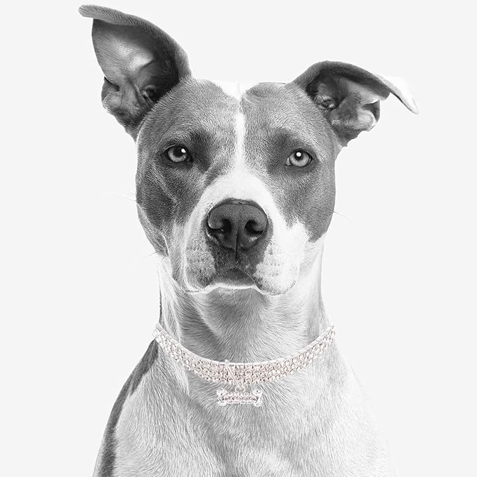 SUPVOX Rhinestone Pet Dog Collar Crystal Collar Adjustable Buckle White Large Size for Pets