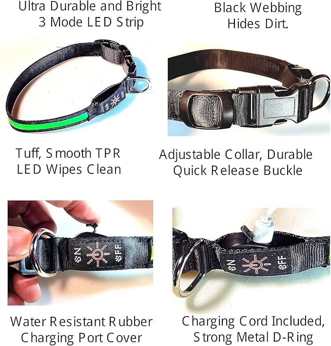 Glow Fetch It! HD Ultra Bright LED Safety Dog Collar, Adjustable, USB Rechargeable with 3 Modes, Water Resistant, Extremely Durable and Easy to Clean (Green, Medium)