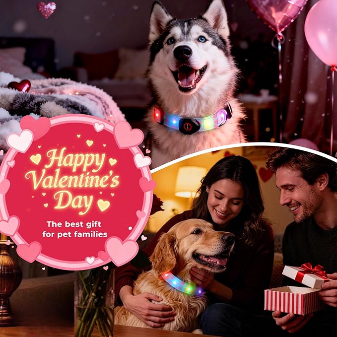 Light Up Dog Collar, LED Dog Collar Glow in The Dark - USBC Rechargeable, 3 Flashing Modes Adjustable Glow Collar, Safety Fashionable Cute Dog Light Up Collars for Medium Large Dogs-Pink Heart Shape
