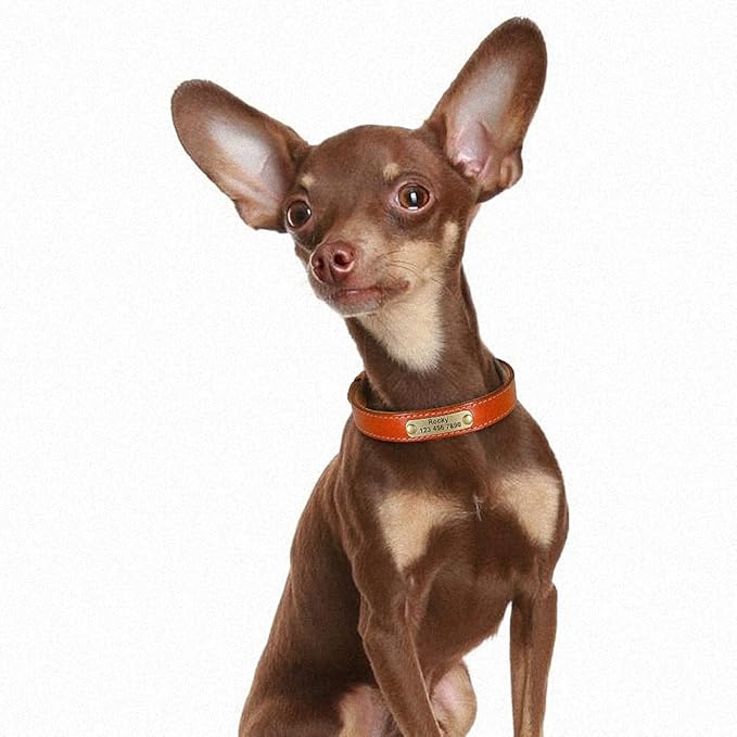 Personalized Leather Dog Collar Custom Dog Collars Leather Gold Buckle Pet ID Collar for Small Medium Large Dogs Dobermann Light Brown XL