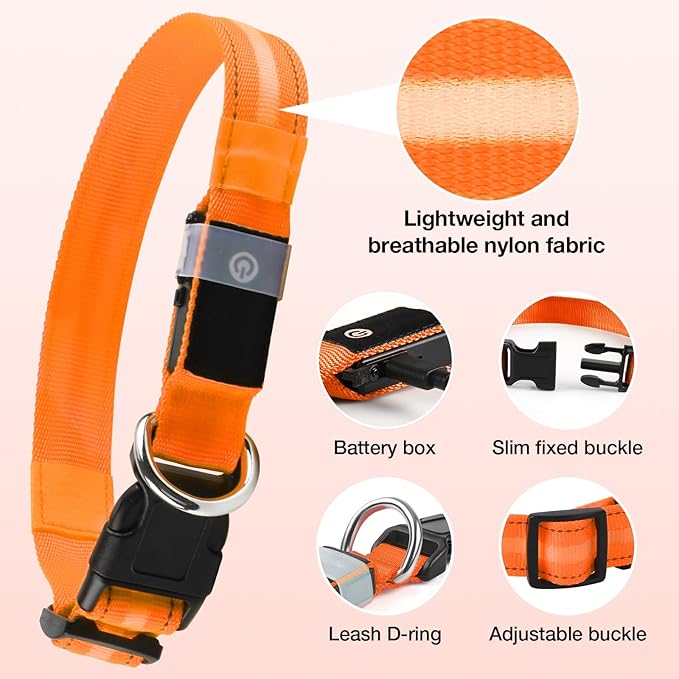 Light Up Dog Collar, USB Rechargeable 6 Modes, Waterproof Charging Port, Long Lasting LED Collar - Adjustable Nylon Reflective for Dogs, Sizes S/M/L (7/9/11 Lights) - 5 Colors (Orange, M)