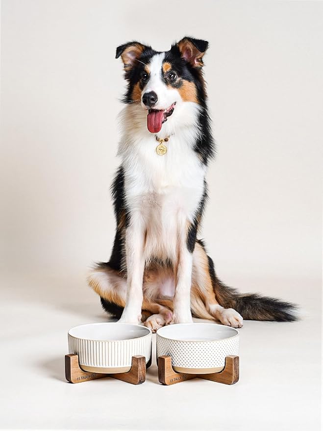 LE TAUCI PET Ceramic Dog Bowls for Medium Large Dogs - 5 Cup Large Dog Food and Water Bowls with Wood Stand, Cute Pet Dishes Set of 2, Lines+Dot