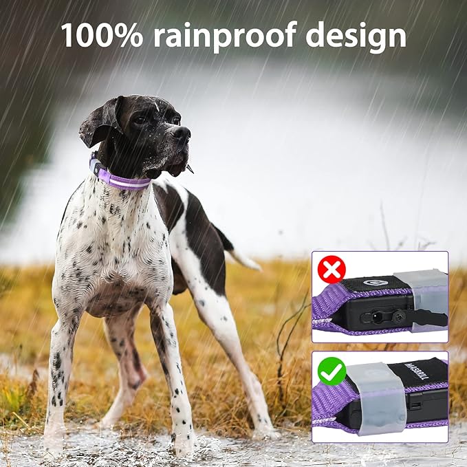 MASBRILL LED Dog Collar - Rechargeable, Lighted, Adjustable for Large Dogs - Purple, Nighttime Walks