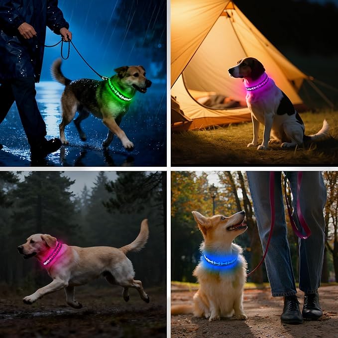 Flashseen LED Dog Collar Light Up USB-C Rechargeable, RGB 7 Colors 3 Modes Glow in The Dark Collar, Adjustable 360° Visibility Glowing Collars for Night Walking for Dogs (Grey, Small)