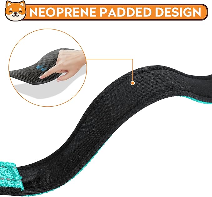 Reflective Dog Collar, Adjustable Soft Neoprene Padded Nylon Pet Collars with Buckle for Large Dogs, Turquoise,L