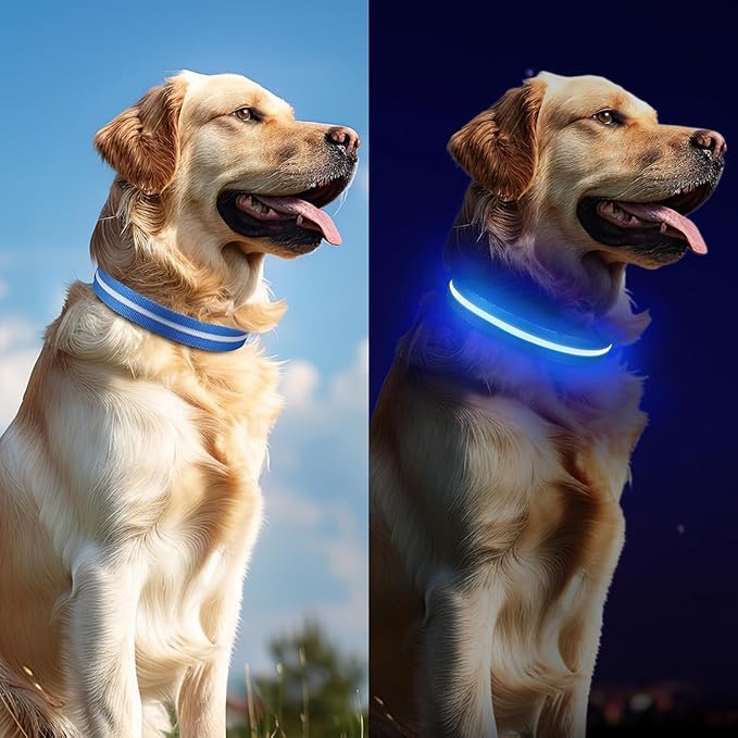 Baby Blue LED Large Dog Collar | Night Walks just got Safer | Ultra-Bright LED Collar | USB Rechargeable | Waterproof | Adjustable & Durable | 4 Light Modes | Keep Your Pup & Yourself Safe!