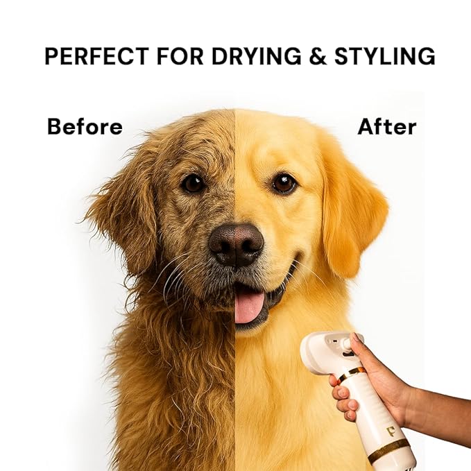 Pet Steam Brush Grooming Dryer for Dogs & Cats – 3-in-1 Grooming Tool with Gentle Steam, Low Noise 600W Motor, Deshedding, Drying & Fur Fluffing for All Coat Types