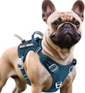 BARKBAY Service Dog Vest Tactical Dog Harness Medium Large Sized Dog Tags Personalized No Pull Adjustable Harness Reflective Working Training Easy Control Military Molle System(Legion Blue,M)