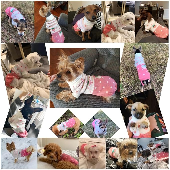 CHBORCHICEN Pet Dog Sweaters Classic Knitwear Turtleneck Winter Warm Puppy Clothing Cute Strawberry and Heart Doggie Sweater (Pink, Small)