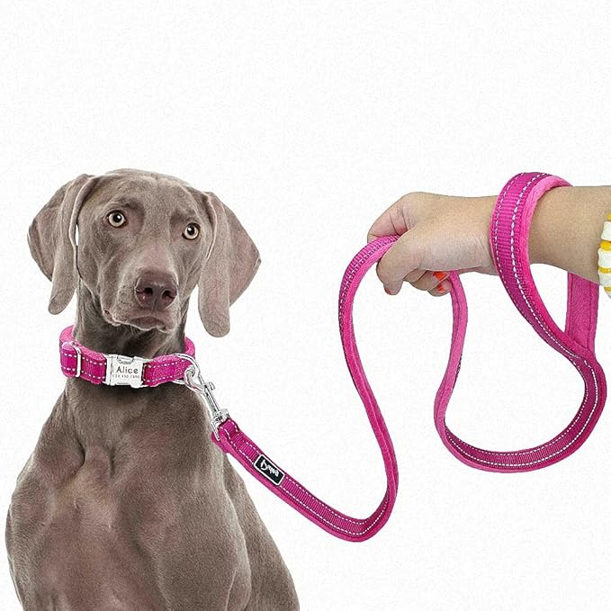 Dog Collar Leash Set Personalized Soft Reflective Dogs Collars Lead Padded for Small Medium Large Dogs French Bulldog Pitbull Rose Red M