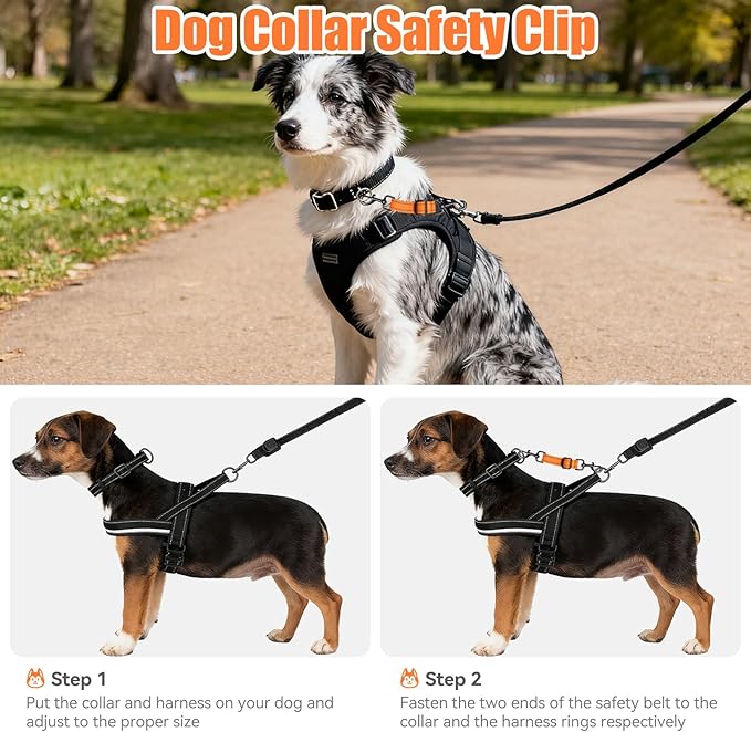 Dog Collar Safety Clip, Adjustable Backup Safety Strap, Double-Ended Leash Connector, High Reflectivity, Suitable for Dog Harnesses to Collar Safety Clips (Orange)