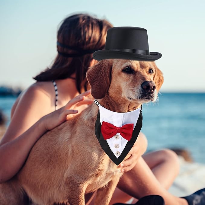 Yewong 2-Piece Pet Formal Accessories Set - Top Hat with Tuxedo Bandana Collar for Dog & Cat (Set-D)