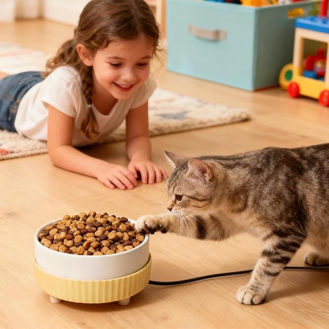 Heated Pet Bowl - USB Winter Waterer Automatic drink warmer, thermostatic feeder dish, indoor outdoor pet supply | usb powered winter bowl with thermostatic heating for puppy kitten farm animals outdo