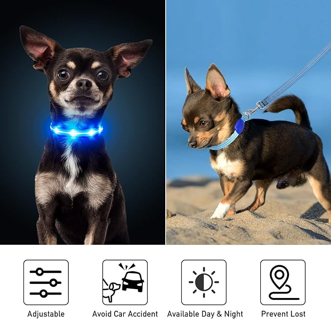 Light Up Dog Collars for Small Medium Large Dogs, Adjustable LED Dog Collar, Rechargeable Soft Glow Collar for Dog Cat Night Walking, Blue