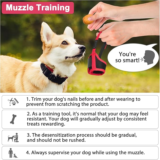 LUCKYPAW Dog Muzzle Anti Biting Barking and Chewing with Comfortable Mesh Soft Fabric and Adjustable Strap, Suitable for Small, Medium and Large Dogs(Hot Pink,M)