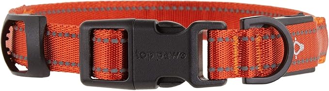 TOP PAW LED + Reflective Orange Dog Collar~X-Large~