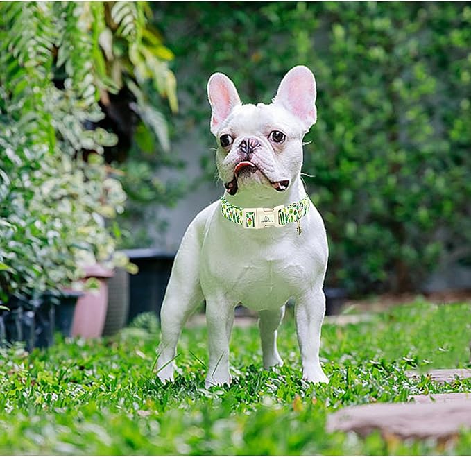 Lionheart glory Dog Collar Green Cactus Print Collar for X-Small Dogs Spring Summer Female or Male Collars Pet Gift Adjustable Heavy-Duty Cute Puppy Collars