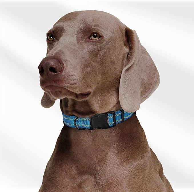 Mile High Life Reflective Dog Collar, Basic Dog Collars Adjustable Quick Release, Soft Nylon Pet Collar with Metal D-Ring for Small Medium Large Dogs (Hot Blue, L Neck15-19")