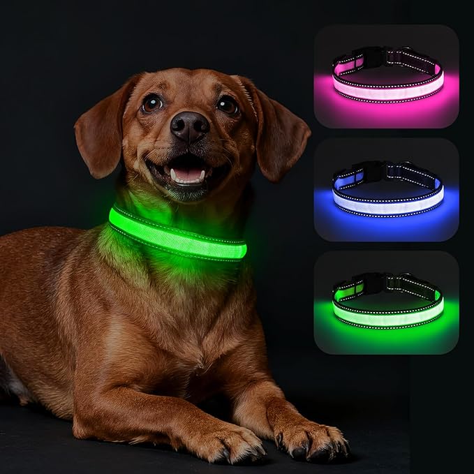 LED Dog Collar, Light Up Dog Collar Adjustable USB Rechargeable High Visibility Dog Light Glowing Pet Collars for Small Medium Large Dogs (Green, M)
