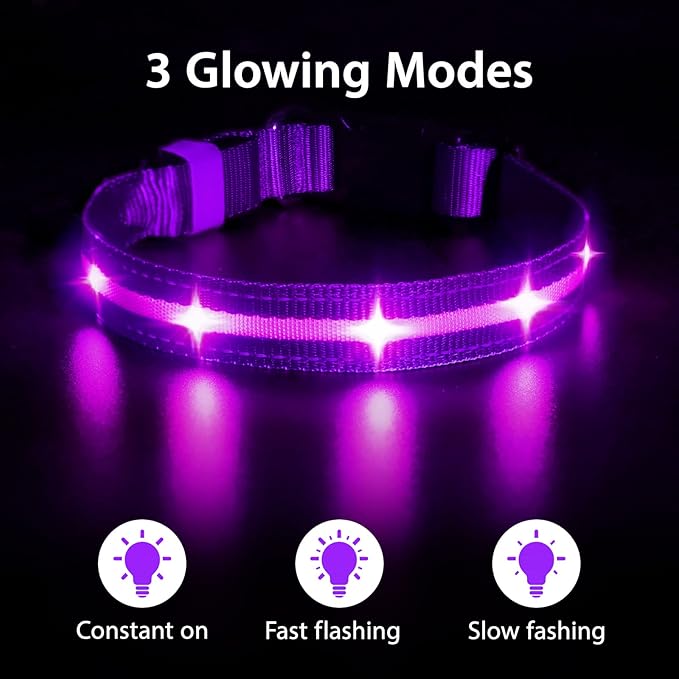 MASBRILL LED Dog Collar - Rechargeable, Lighted, Adjustable for Large Dogs - Purple, Nighttime Walks