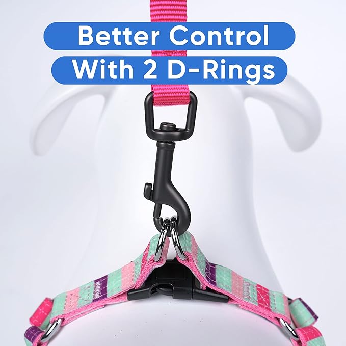 Pawtitas Personalized Dog & Puppy Harness Small Teal/Pink/Purple Custom ID Tag Adjustable No Pull Vest