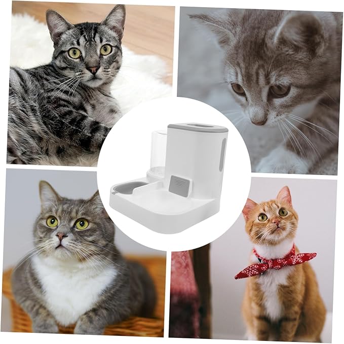Totority Automatic Pet Water and Food Dispenser Detachable Dog and Cat Feeder Capacity Dry and Wet Separation Easy Design for Pets Convenient Automatic Water Bowl