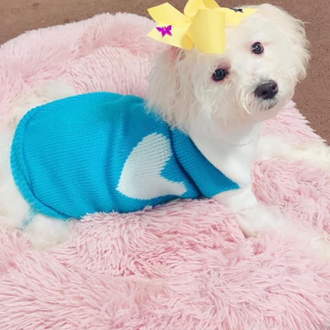 CHBORCHICEN Pet Dog Sweaters Classic Knitwear Turtleneck Winter Warm Puppy Clothing Cute Strawberry and Heart Doggie Sweater (Sky Blue, Small)