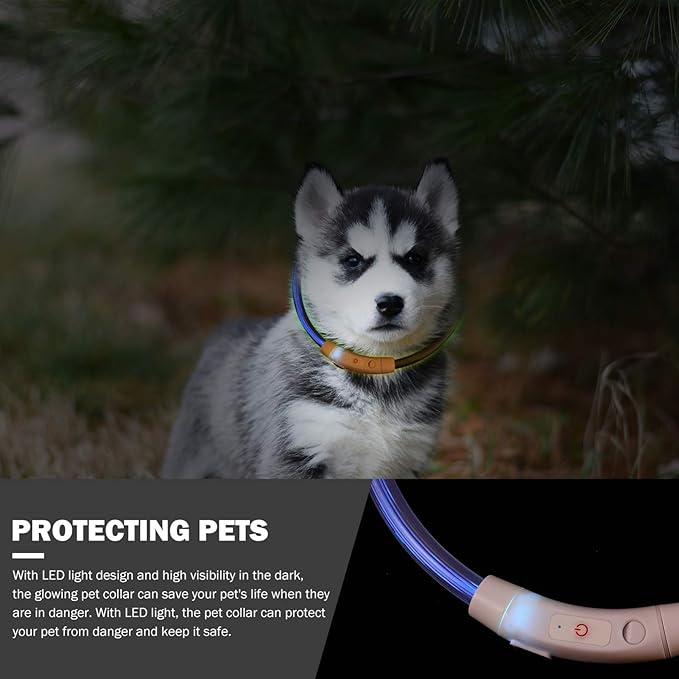 LED Glowing Dog Collar Rechargeable Lighted Pet Collar for Enhanced Night Safety for Dogs Puppies High Visibility Fluorescent Design