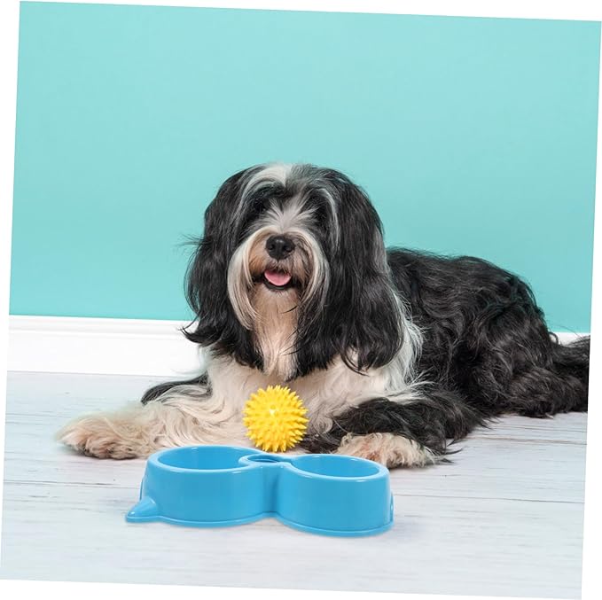 Pet Food Water Dispenser Dual Dog Bowl Slow Feeder Bowl for Small Dogs Automatic Feeder for Cats