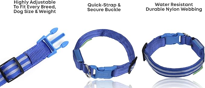 ILLUMISEEN LED Dog Collar USB Rechargeable - Bright & High Visibility Lighted Glow Collar for Pet Night Walking - Weatherproof, in 6 Colors & 6 Sizes (Blue XX-Small)