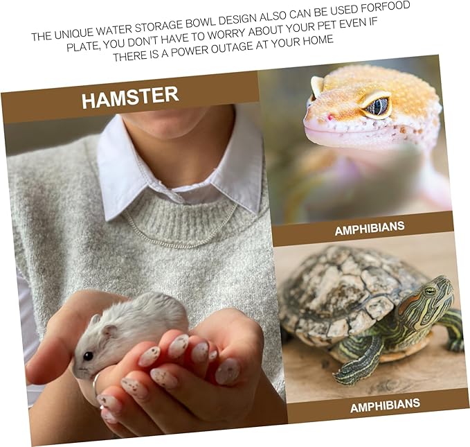 Happyyami Automatic Water Feeder for Dogs Cats Reptile Tank Pet Fountain 2-in-1 Water Dish Food Plate