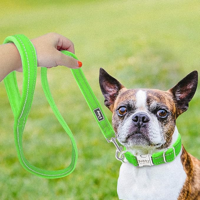 Dog Collar Leash Set Personalized Soft Reflective Dogs Collars Lead Padded for Small Medium Large Dogs French Bulldog Pitbull Green S