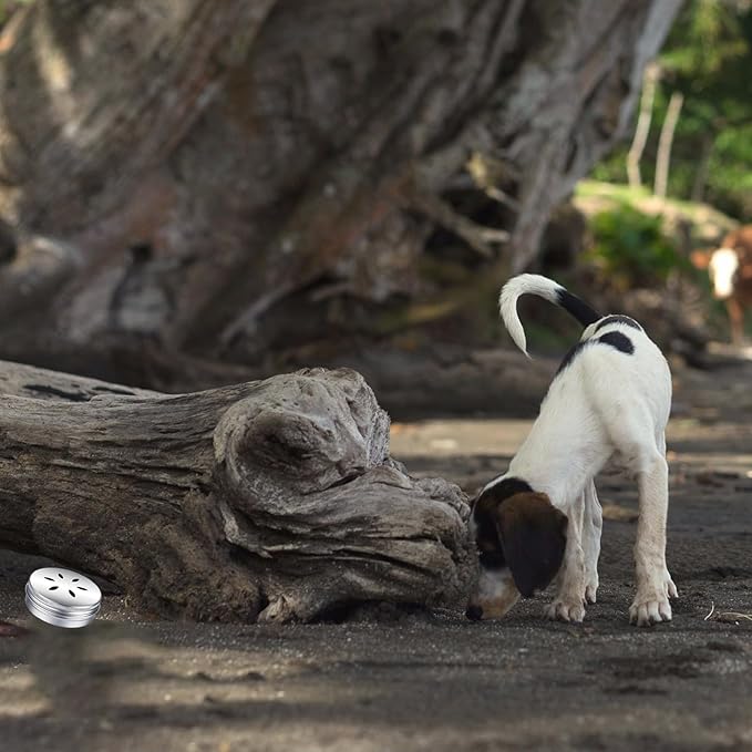 Dog Scent Training Kit Nose Scent Work Tins, Dog Nose Scent Work Training Kit for Dogs Brain Games Pet Pup Beginner Scent Work Kit (6 Box+4 Nose Work Set)