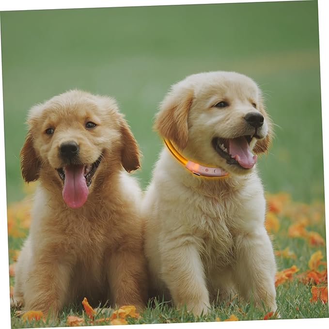Yardwe Led Dog Collar Flashing for Night Safety USB Rechargeable Pet Collar Clip Reflective Harness for Dogs Puppies