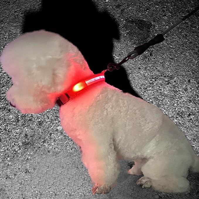 Adjustable Glowing Collar for Small Large Dogs Ensuring for Night Walk Multicolored Dog Collar for Large Dogs