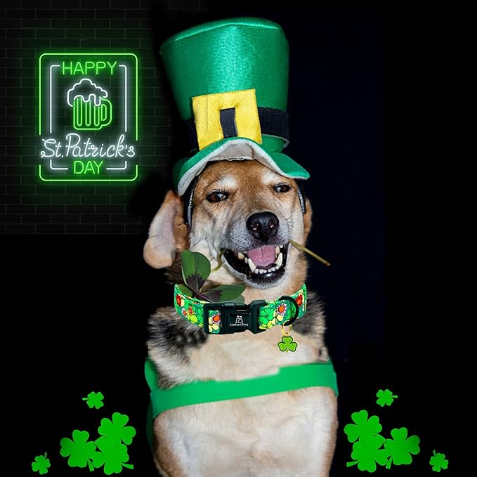 Lionheart glory St. Patrick's Dog Collar-Lucky Clover Shamrock Green Spring Trefoil Dog Collar for Medium Dogs Adjustable Heavy-Duty Dogs Collars Pet Gift Femal