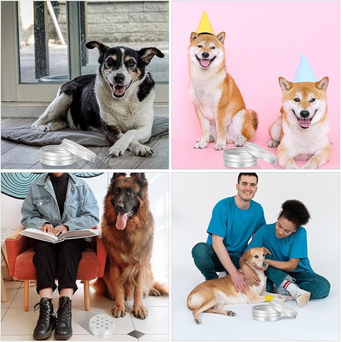 YARNOW 6pcs Dog Scent Training Cases Aluminum Odor Boxes for Nose Work Durable Scent Training Supplies for Small Dogs for Agility and Search