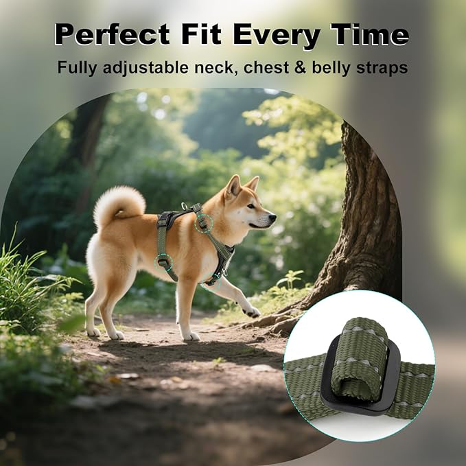 Plutus Pet Adjustable No Pull Dog Harness with Leather Accents, Heavy Duty Reflective Nylon Vest for Training, Hiking, Easy Walk Harness for Small, Medium, Large Dogs (Ranger Green, M)